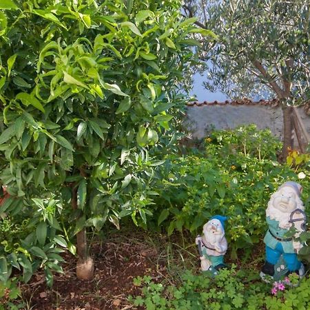 Apartments Zdenka ブロダリツァ エクステリア 写真